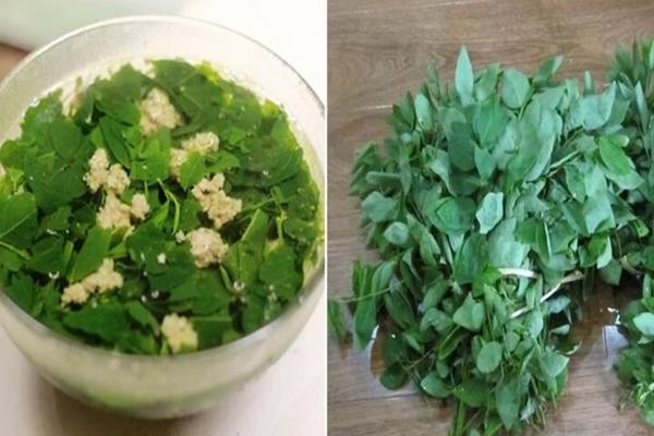 Rau ngót tốt nhưng có nên ăn mỗi ngày?-2