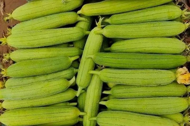 Những người không nên ăn mướp-1