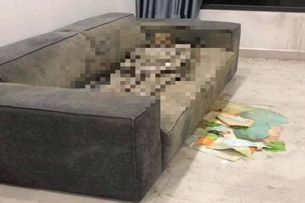 Điều tra thi thể nữ giới 'chết khô' trên sofa trong căn hộ cao cấp