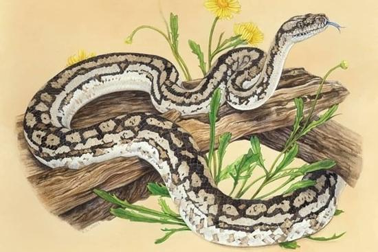 Tháng 5 đầy hứa hẹn của 5 con giáp, không chỉ được quý nhân phù trợ thăng hoa trong tình yêu mà còn may mắn trong việc này