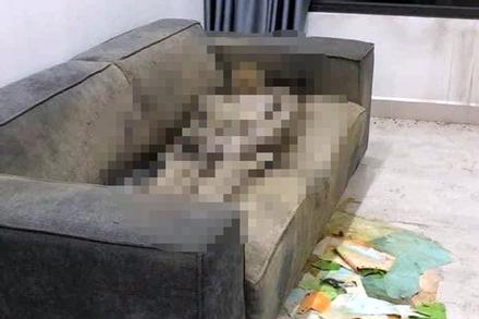 Lý do sau 1,5 năm mới phát hiện xác chết trong căn hộ cao cấp ở Hà Nội