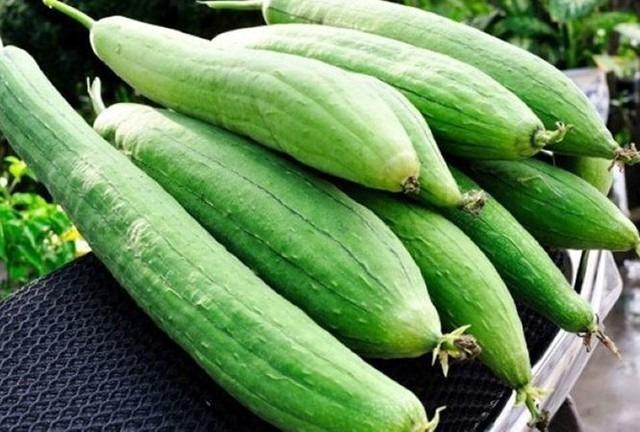 Loại quả mùa hè thơm ngon bổ dưỡng, giúp ngừa bệnh tiểu đường và giảm mỡ máu, người Việt nên ăn thường xuyên để kéo dài tuổi thọ-1