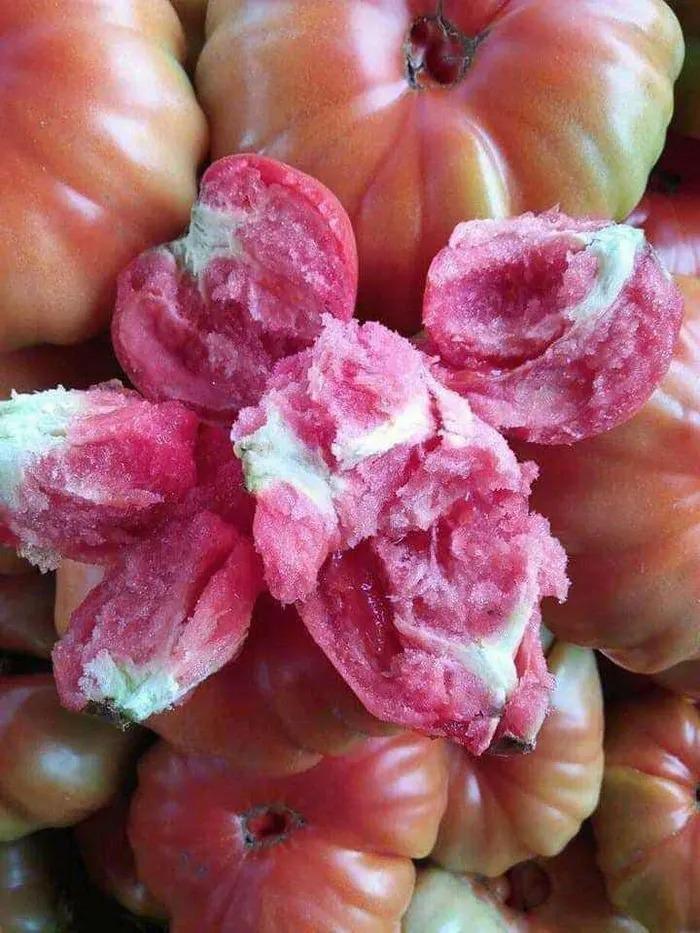 Thứ quả lồi lõm xưa nhiều người chê nay thành đặc sản chị em săn lùng-4