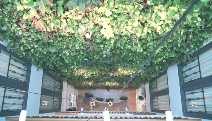 Biệt thự hàng chục tỷ Hương Tràm tậu trước khi đi Mỹ, bên trong có gì?-4