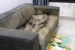Thông tin mới vụ phát hiện thi thể chết khô trong căn hộ chung cư ở Hà Nội