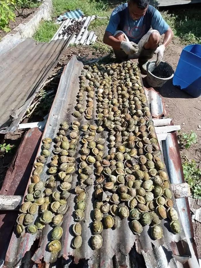 Loài vật nghe tên dữ dằn không ngờ là đặc sản 160.000 đồng/kg-1