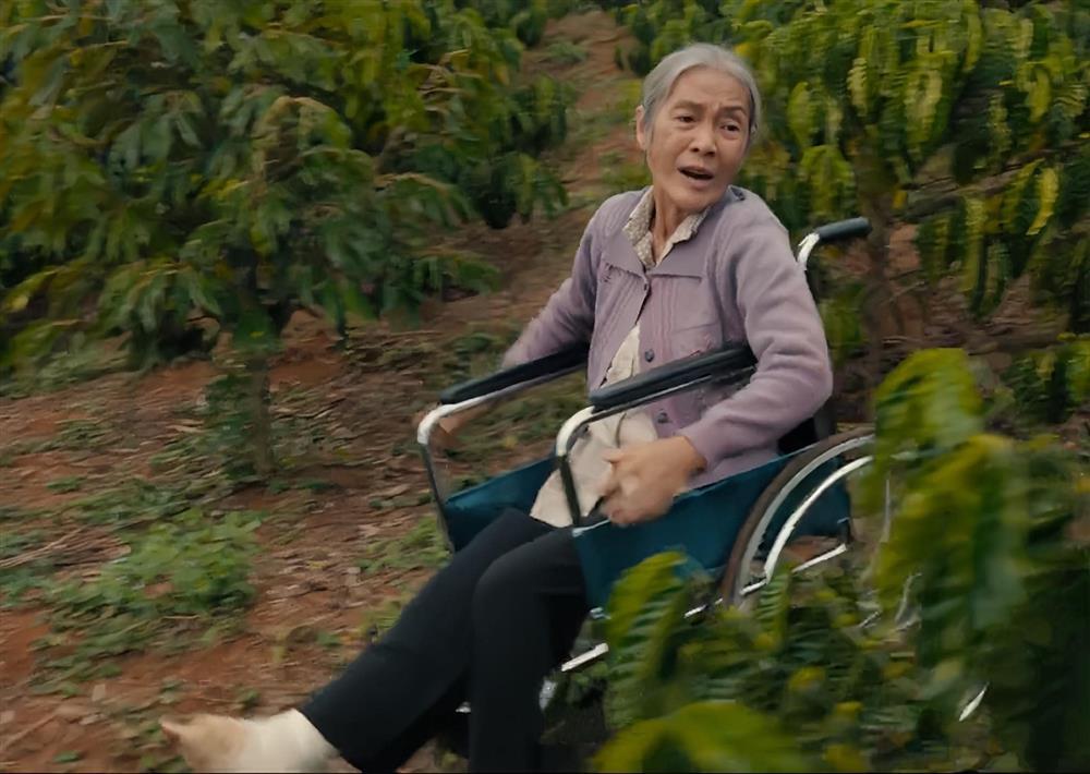 Nữ nghệ sĩ Việt đóng vai phụ nhiều nhất nhì Việt Nam: 1 đời vất vả, tuổi xế chiều mới có vai chính gây sốc-5