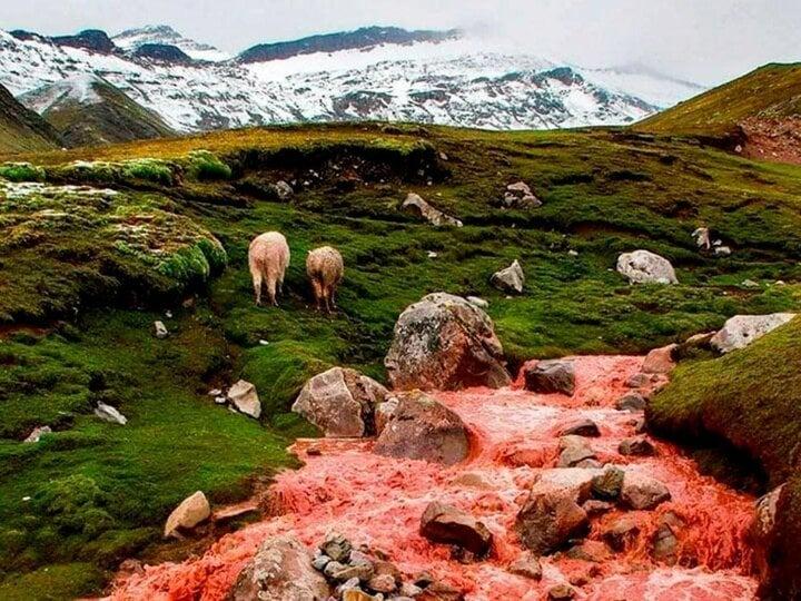 Bí ẩn dòng sông nhuộm đỏ ở Peru, tại sao chỉ đổi màu vào mùa mưa?-2
