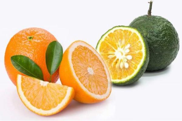 Bác sĩ cảnh báo nên tránh xa 6 loại trái cây này khi bụng đói nếu không muốn làm tổn thương dạ dày-3