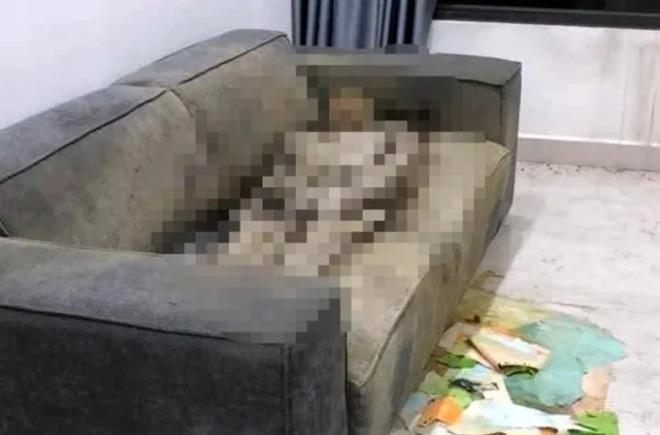Cô gái tử vong trên ghế sofa ở Hà Nội gần 2 năm: Đệm ghế khiến thi thể khô dần?-1