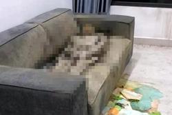 Cô gái tử vong trên ghế sofa ở Hà Nội gần 2 năm: Đệm ghế khiến thi thể khô dần?