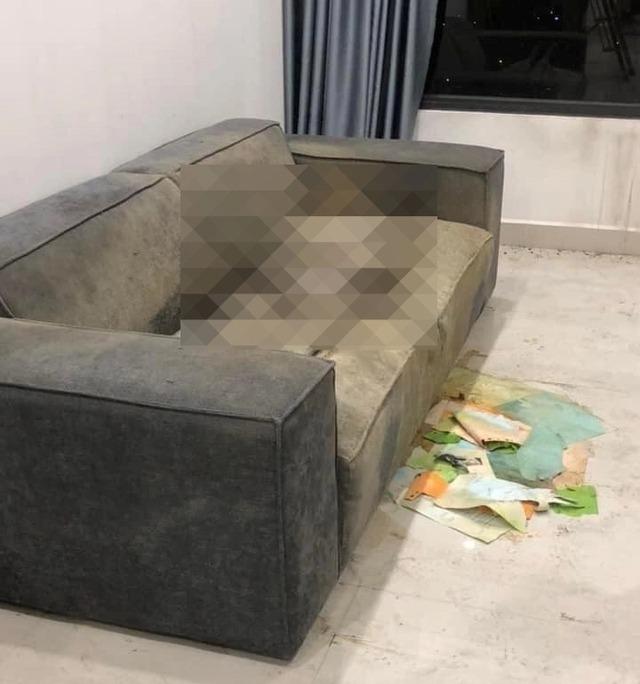 Những điểm nghi vấn vụ thi thể cô gái trên sofa: Người đàn ông bí ẩn và chiếc điện thoại bị tháo sim-2