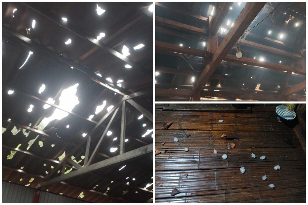 Mưa đá trút xuống Sơn La, hạt to bằng nắm tay xuyên thủng mái nhà-2