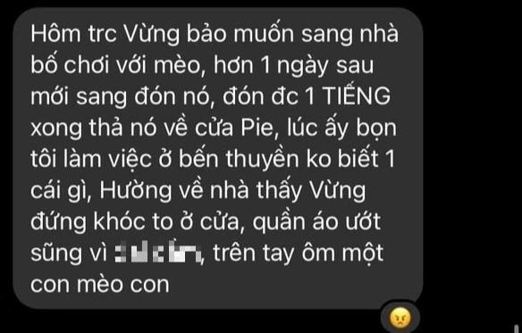 Mẹ vợ cũ lên tiếng vụ Thắng (Ngọt) bị tố tệ bạc đòi tiền chăm con, còn tag hẳn mẹ nam ca sĩ-4