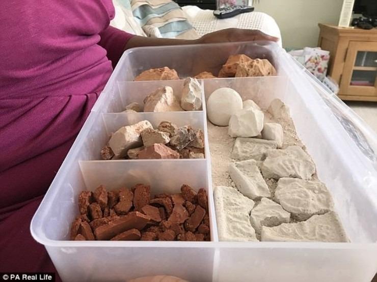 Cựu giáo viên ăn đất ra tiền, mỗi năm thu gần 1 tỉ-3