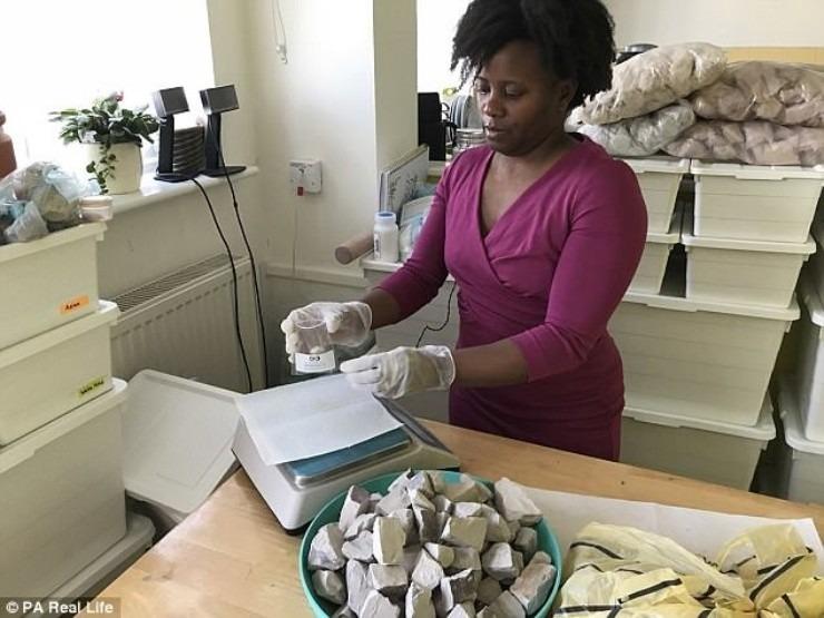 Cựu giáo viên ăn đất ra tiền, mỗi năm thu gần 1 tỉ-4