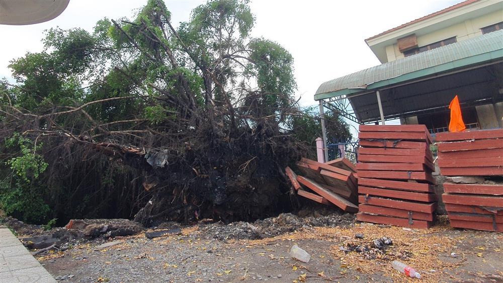 TP.HCM có mưa vàng giải nhiệt ở nhiều nơi, sắp qua cao điểm nắng nóng-5