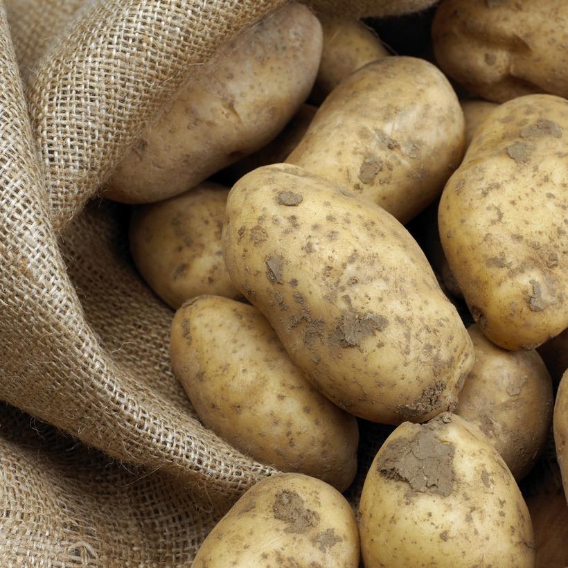 Loại củ rẻ bèo ở chợ việt nhưng lại là siêu báu vật cho sức khỏe và sắc đẹp-3