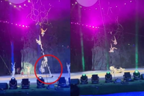 Nguyên nhân cái chết nữ diễn viên xiếc Tâm Ngữ 10 tuổi-2