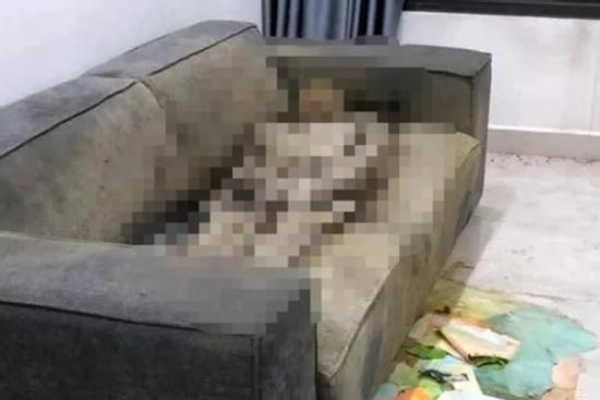 Toàn cảnh vụ cô gái chết khô trên Sofa: Thi thể 'biết nói', lần theo dấu vết từ chiếc điện thoại bị khuyết sim