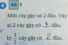 'Một cây gậy có 2 đầu, nửa cây gậy có mấy đầu', toán tiểu học khiến phụ huynh cãi nhau nảy lửa