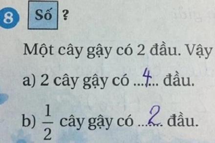 'Một cây gậy có 2 đầu, nửa cây gậy có mấy đầu', toán tiểu học khiến phụ huynh cãi nhau nảy lửa