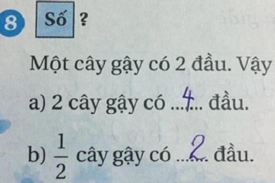 'Một cây gậy có 2 đầu, nửa cây gậy có mấy đầu', toán tiểu học khiến phụ huynh cãi nhau nảy lửa