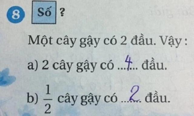 Một cây gậy có 2 đầu, nửa cây gậy có mấy đầu, toán tiểu học khiến phụ huynh cãi nhau nảy lửa-1