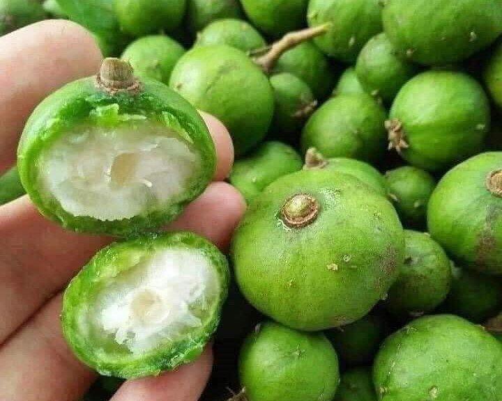 Giật mình giá sấu non đầu mùa, chị em rút ví mua cả cân về chế biến-1