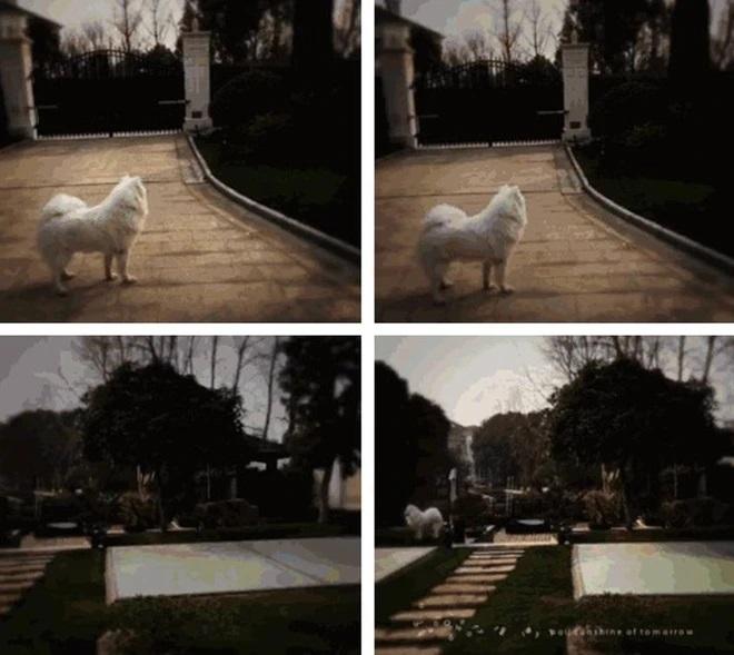 Người yêu cũ Dương Dương sau 10 năm vẫn trẻ đẹp bất ngờ, cuộc sống giàu sang khó ai sánh bằng-3