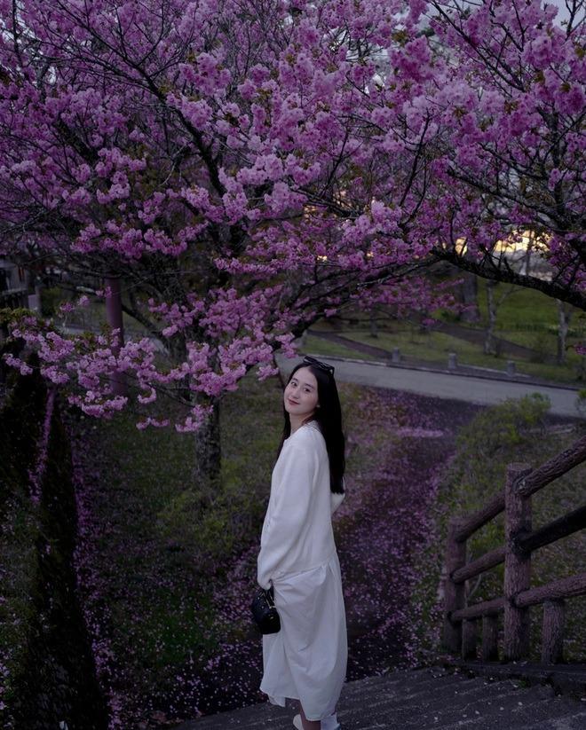 Nga Anh - hot girl đang hẹn hò với chồng cũ Mai Ngọc: Kém bạn trai thiếu gia 8 tuổi, vào top 10 cuộc thi nhan sắc-4