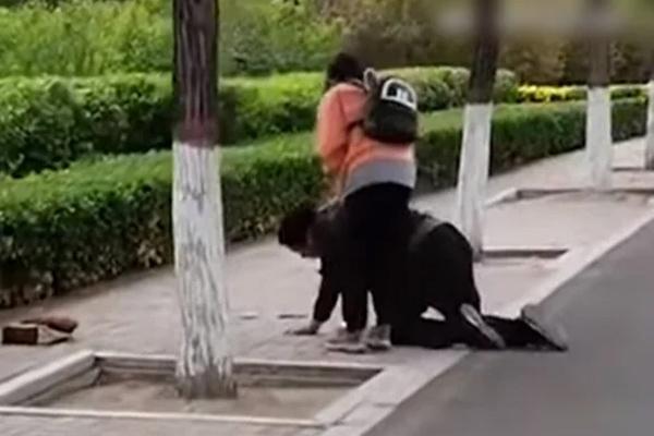 iPhone 16 sẽ có những phiên bản màu tuyệt đẹp nào?-12