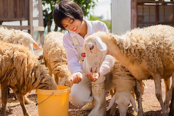 Hoa hậu từng được chồng tặng biệt thự 100 tỷ, thừa nhận sai lầm khi đưa các con bỏ phố về quê-10