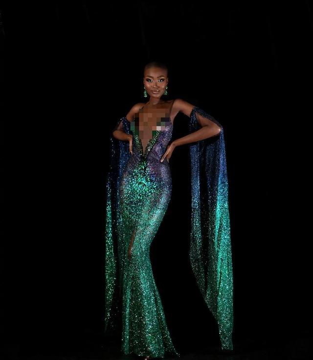 Cận cảnh người đẹp đầu trọc tân Hoa hậu Hòa bình Pháp-5