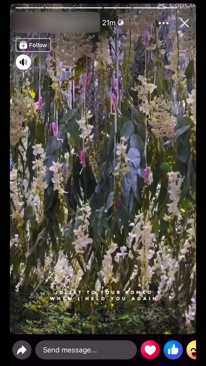 Cận cảnh không gian tiệc kín của Midu và thiếu gia Minh Đạt: Bao trọn resort phủ kín hoa tươi, nhìn là biết hỷ sự hào môn-3