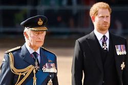 Lý do Vua Charles không muốn gặp Hoàng tử Harry