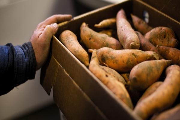 Bánh khoai lang nhân phomai giòn rụm ăn mê say-3