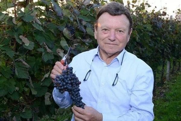 Nhân viên văn phòng kiếm 25 triệu/tháng chê chồng lương thấp, khuyên các em gái tỉnh táo chọn bạn đời - CĐM chia 2 phe-2