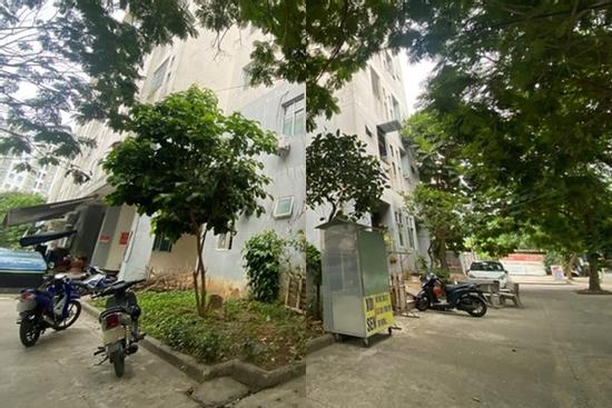 Vụ học sinh lớp 6 nhảy lầu ở Đà Nẵng: Nạn nhân qua cơn nguy kịch, lúc tỉnh gọi được 'mẹ ơi'