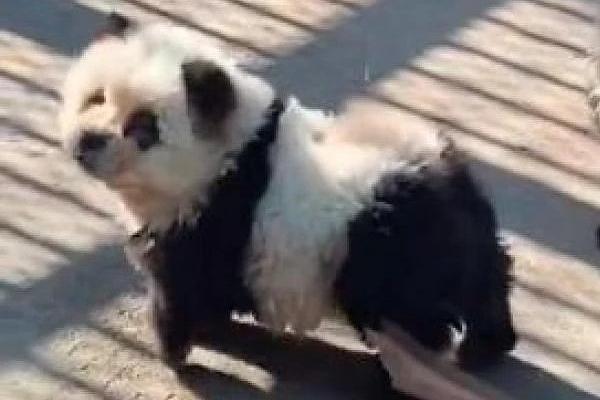 Chuyện nhớ đời khi đi xe địa hình vượt cồn cát ở Phan Thiết-7