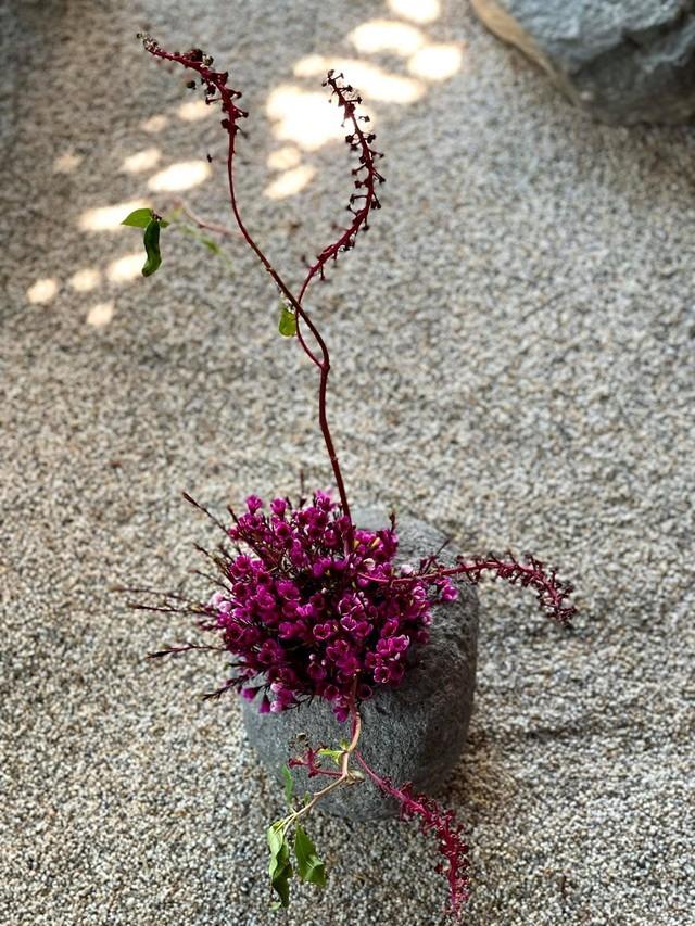 Phong cách cắm hoa độc đáo của Diva Hồng Nhung trong penthouse sang trọng-15