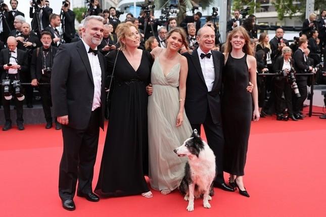 Có một Messi khác trên thảm đỏ Cannes-2