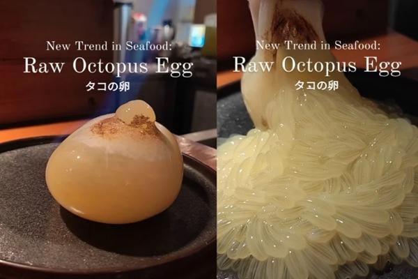 Nhà hàng gây tranh cãi khi phục vụ món trứng bạch tuộc sống-2