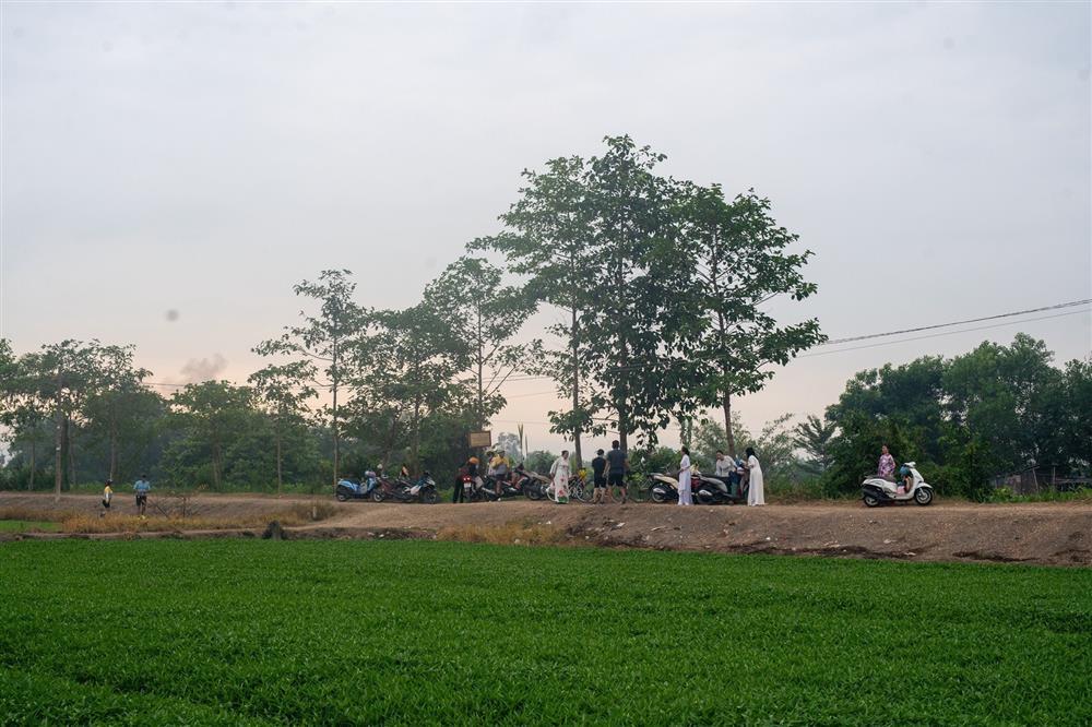 Đi ngàn km tìm cây phượng cô đơn ở TP.HCM, ngao ngán gặp cảnh hái hoa, bẻ cành-2