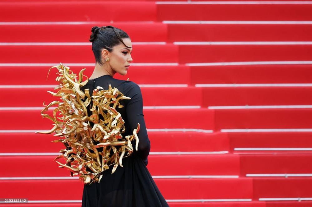 Hoa hậu Hoàn vũ gây chú ý với váy lạ mắt trên thảm đỏ Cannes-1