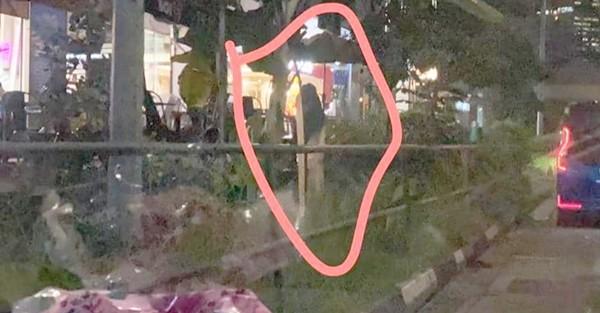 Người đi đường chụp được hình bóng trắng kỳ bí, phóng to ảnh mới bất ngờ-2