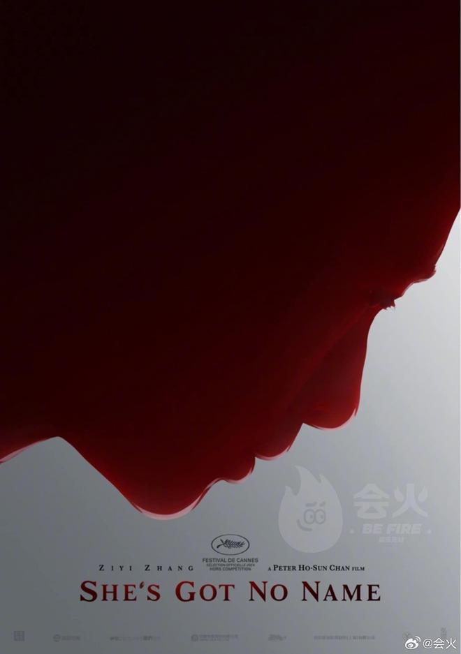 Lý do Triệu Lệ Dĩnh bị cấm đến Cannes 2024-1