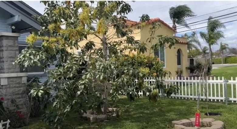 Căn nhà 16 tỷ đồng của Đức Tiến tại Mỹ trước khi qua đời