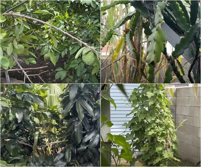 Căn nhà 16 tỷ đồng của Đức Tiến tại Mỹ trước khi qua đời