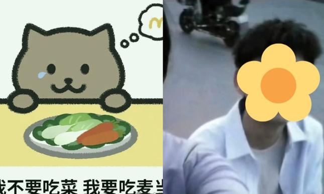 Từ vụ Mèo Béo nhảy cầu và thương hiệu mỹ phẩm: Sự thật bị bóp méo do hội chứng đám đông hóng drama-2